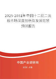 2025-2031年中國(guó)十二烷二元胺市場(chǎng)深度剖析及發(fā)展前景預(yù)測(cè)報(bào)告 2025-2031年中國(guó)十二烷二元胺市場(chǎng)深度剖析及發(fā)展前景預(yù)測(cè)報(bào)告