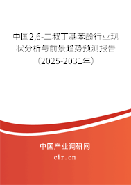 中國2,6-二叔丁基苯酚行業(yè)現(xiàn)狀分析與前景趨勢預(yù)測報告(2025-2031年) 中國2,6-二叔丁基苯酚行業(yè)現(xiàn)狀分析與前景趨勢預(yù)測報告(2025-2031年)