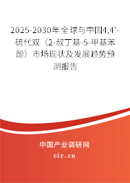 2025-2030年全球與中國4,4'-硫代雙(2-叔丁基-5-甲基苯酚)市場現狀及發(fā)展趨勢預測報告 2025-2030年全球與中國4,4'-硫代雙(2-叔丁基-5-甲基苯酚)市場現狀及發(fā)展趨勢預測報告