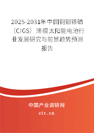 2025-2031年中國(guó)銅銦鎵硒(CIGS)薄膜太陽(yáng)能電池行業(yè)發(fā)展研究與前景趨勢(shì)預(yù)測(cè)報(bào)告 2025-2031年中國(guó)銅銦鎵硒(CIGS)薄膜太陽(yáng)能電池行業(yè)發(fā)展研究與前景趨勢(shì)預(yù)測(cè)報(bào)告