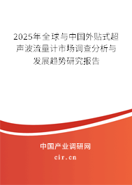 2025年全球與中國(guó)外貼式超聲波流量計(jì)市場(chǎng)調(diào)查分析與發(fā)展趨勢(shì)研究報(bào)告