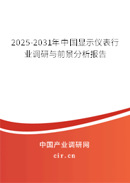 2025-2031年中國(guó)顯示儀表行業(yè)調(diào)研與前景分析報(bào)告 2025-2031年中國(guó)顯示儀表行業(yè)調(diào)研與前景分析報(bào)告