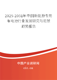2025-2031年中國(guó)新能源專用車電池行業(yè)發(fā)展研究與前景趨勢(shì)報(bào)告