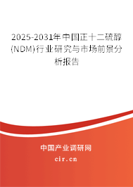 2025-2031年中國正十二硫醇(NDM)行業(yè)研究與市場前景分析報告