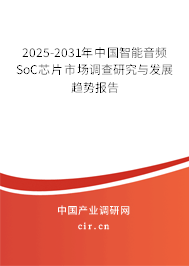 2024-2030年中國(guó)智能音頻SoC芯片市場(chǎng)調(diào)查研究與發(fā)展趨勢(shì)報(bào)告 2024-2030年中國(guó)智能音頻SoC芯片市場(chǎng)調(diào)查研究與發(fā)展趨勢(shì)報(bào)告