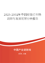 2025-2031年中國軟管燈市場調(diào)研與發(fā)展前景分析報(bào)告 2025-2031年中國軟管燈市場調(diào)研與發(fā)展前景分析報(bào)告