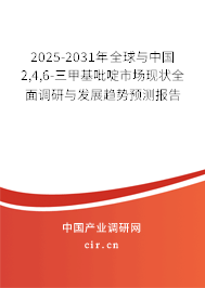 2025-2031年全球與中國(guó)2,4,6-三甲基吡啶市場(chǎng)現(xiàn)狀全面調(diào)研與發(fā)展趨勢(shì)預(yù)測(cè)報(bào)告 2025-2031年全球與中國(guó)2,4,6-三甲基吡啶市場(chǎng)現(xiàn)狀全面調(diào)研與發(fā)展趨勢(shì)預(yù)測(cè)報(bào)告