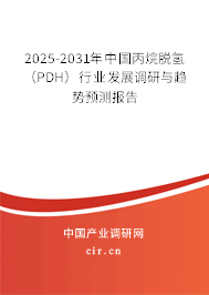 2025-2031年中國丙烷脫氫(PDH)行業(yè)發(fā)展調(diào)研與趨勢預(yù)測報告 2025-2031年中國丙烷脫氫(PDH)行業(yè)發(fā)展調(diào)研與趨勢預(yù)測報告