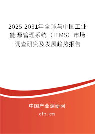 2025-2031年全球與中國工業(yè)能源管理系統(tǒng)(IEMS)市場調(diào)查研究及發(fā)展趨勢報告 2025-2031年全球與中國工業(yè)能源管理系統(tǒng)(IEMS)市場調(diào)查研究及發(fā)展趨勢報告