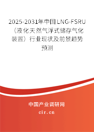 2025-2031年中國LNG-FSRU（液化天然氣浮式儲存氣化裝置）行業(yè)現(xiàn)狀及前景趨勢預(yù)測