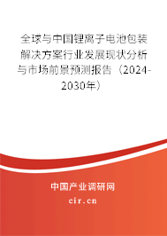 全球與中國鋰離子電池包裝解決方案行業(yè)發(fā)展現(xiàn)狀分析與市場前景預測報告（2024-2030年）