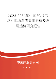 2025-2031年中國PA（尼龍）市場深度調(diào)查分析及發(fā)展趨勢研究報告