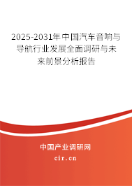 2025-2031年中國(guó)汽車音響與導(dǎo)航行業(yè)發(fā)展全面調(diào)研與未來(lái)前景分析報(bào)告