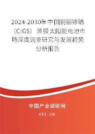 2024-2030年中國(guó)銅銦鎵硒（CIGS）薄膜太陽(yáng)能電池市場(chǎng)深度調(diào)查研究與發(fā)展趨勢(shì)分析報(bào)告
