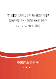 中國新型電力系統(tǒng)儲能市場調(diào)研與行業(yè)前景預(yù)測報(bào)告（2025-2031年）