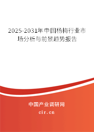 2025-2031年中國楊梅行業(yè)市場分析與前景趨勢報告 2025-2031年中國楊梅行業(yè)市場分析與前景趨勢報告