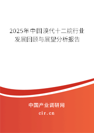 2025年中國溴代十二烷行業(yè)發(fā)展回顧與展望分析報告