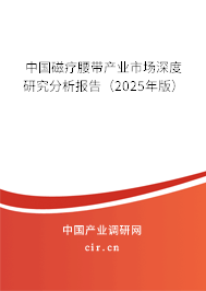 中國磁療腰帶產(chǎn)業(yè)市場(chǎng)深度研究分析報(bào)告(2025年版) 中國磁療腰帶產(chǎn)業(yè)市場(chǎng)深度研究分析報(bào)告(2025年版)