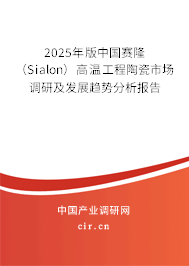 2025年版中國賽?。⊿ialon）高溫工程陶瓷市場調(diào)研及發(fā)展趨勢分析報(bào)告