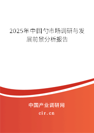 2025年中國勺市場調(diào)研與發(fā)展前景分析報告 2025年中國勺市場調(diào)研與發(fā)展前景分析報告