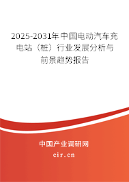 2025-2031年中國(guó)電動(dòng)汽車(chē)充電站（樁）行業(yè)發(fā)展分析與前景趨勢(shì)報(bào)告