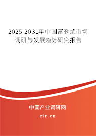 2025-2031年中國富勒烯市場調研與發(fā)展趨勢研究報告 2025-2031年中國富勒烯市場調研與發(fā)展趨勢研究報告