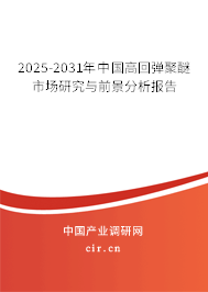 2025-2031年中國高回彈聚醚市場研究與前景分析報(bào)告 2025-2031年中國高回彈聚醚市場研究與前景分析報(bào)告
