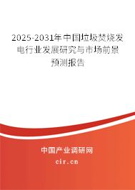 2024-2030年中國(guó)垃圾焚燒發(fā)電行業(yè)發(fā)展研究與市場(chǎng)前景預(yù)測(cè)報(bào)告