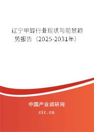 遼寧甲醇行業(yè)現(xiàn)狀與前景趨勢報告（2025-2031年）