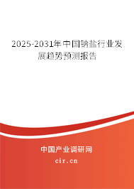 2025-2031年中國鈉鹽行業(yè)發(fā)展趨勢預(yù)測報告 2025-2031年中國鈉鹽行業(yè)發(fā)展趨勢預(yù)測報告
