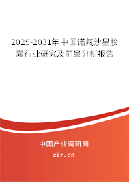 2025-2031年中國諾氟沙星膠囊行業(yè)研究及前景分析報告