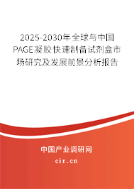 2025-2030年全球與中國(guó)PAGE凝膠快速制備試劑盒市場(chǎng)研究及發(fā)展前景分析報(bào)告 2025-2030年全球與中國(guó)PAGE凝膠快速制備試劑盒市場(chǎng)研究及發(fā)展前景分析報(bào)告
