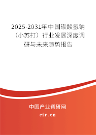 2025-2031年中國碳酸氫鈉（小蘇打）行業(yè)發(fā)展深度調(diào)研與未來趨勢報告