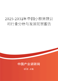 2025-2031年中國(guó)小額貸款公司行業(yè)分析與發(fā)展前景報(bào)告 2025-2031年中國(guó)小額貸款公司行業(yè)分析與發(fā)展前景報(bào)告