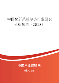 中國(guó)化纖漿粕制造行業(yè)研究分析報(bào)告(2013) 中國(guó)化纖漿粕制造行業(yè)研究分析報(bào)告(2013)