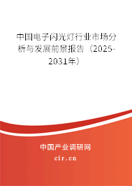 中國(guó)電子閃光燈行業(yè)市場(chǎng)分析與發(fā)展前景報(bào)告(2025-2031年) 中國(guó)電子閃光燈行業(yè)市場(chǎng)分析與發(fā)展前景報(bào)告(2025-2031年)