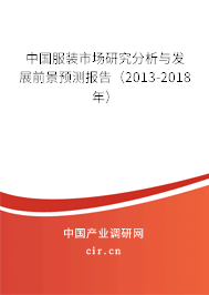 中國服裝市場研究分析與發(fā)展前景預測報告（2013-2018年）