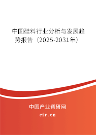 中國(guó)硅料行業(yè)分析與發(fā)展趨勢(shì)報(bào)告(2025-2031年) 中國(guó)硅料行業(yè)分析與發(fā)展趨勢(shì)報(bào)告(2025-2031年)