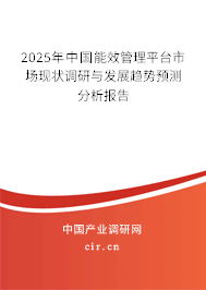 2025年中國能效管理平臺市場現(xiàn)狀調(diào)研與發(fā)展趨勢預(yù)測分析報(bào)告 2025年中國能效管理平臺市場現(xiàn)狀調(diào)研與發(fā)展趨勢預(yù)測分析報(bào)告