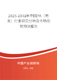 2025-2031年中國PA（尼龍）行業(yè)研究分析及市場前景預(yù)測報(bào)告