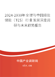 2024-2030年全球與中國熔鹽儲能(TES)行業(yè)發(fā)展深度調(diào)研與未來趨勢報告 2024-2030年全球與中國熔鹽儲能(TES)行業(yè)發(fā)展深度調(diào)研與未來趨勢報告