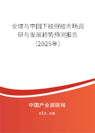 全球與中國下肢假肢市場調(diào)研與發(fā)展趨勢預測報告（2025年）