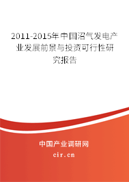 2011-2015年中國沼氣發(fā)電產(chǎn)業(yè)發(fā)展前景與投資可行性研究報告