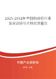 2025-2031年中國勃姆石行業(yè)發(fā)展調(diào)研與市場前景報告