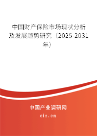 中國財產保險市場現狀分析及發(fā)展趨勢研究(2025-2031年) 中國財產保險市場現狀分析及發(fā)展趨勢研究(2025-2031年)