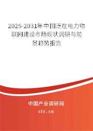 2025-2031年中國泛在電力物聯(lián)網(wǎng)建設(shè)市場現(xiàn)狀調(diào)研與前景趨勢報(bào)告