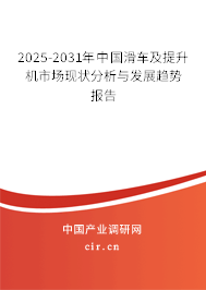 2025-2031年中國滑車及提升機市場現(xiàn)狀分析與發(fā)展趨勢報告