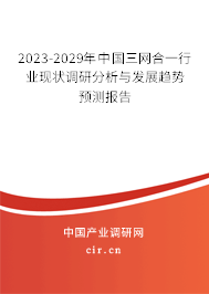 2023-2029年中國三網(wǎng)合一行業(yè)現(xiàn)狀調(diào)研分析與發(fā)展趨勢預測報告