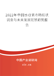 2022年中國水療素市場現(xiàn)狀調(diào)查與未來發(fā)展前景趨勢報告