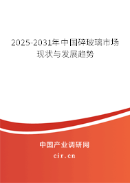 2025-2031年中國碎玻璃市場現(xiàn)狀與發(fā)展趨勢